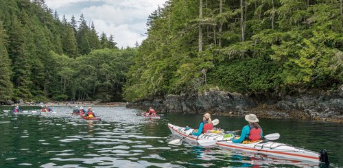 Kanada Reise - Kayak fahren in Port Mc Neill
