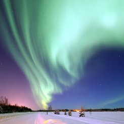 Alaska Reise - Aurora Borealis