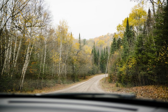 Kanada Reise - Autofahrt im Algonquin Provincial Park