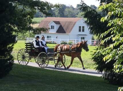 Traditionelles amishes Paar Zwei Menschen in einer Kutsche