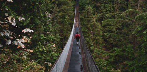 Kanada Reise - Capilano Brücke, Vancouver