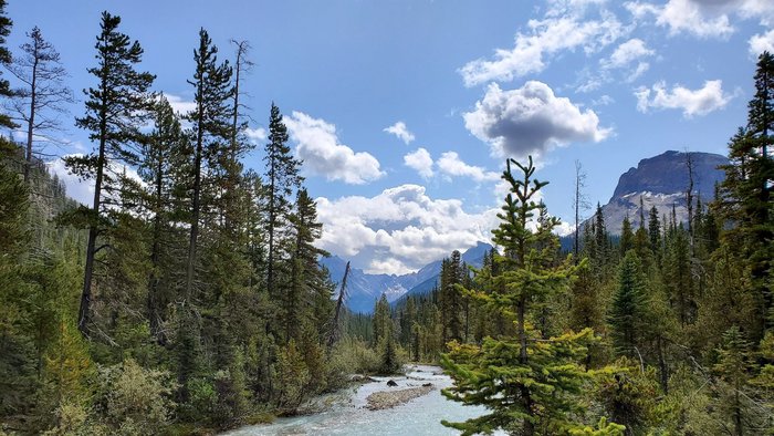 Kanada Reise - Takakkaw Fälle, Yoho NP