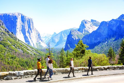 USA Reise - Al Capitan, Yosemite Nationalpark