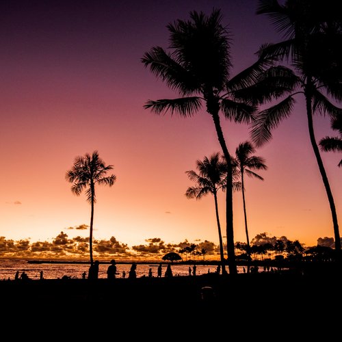 USA Reise - Waikiki in Hawaii am Abend