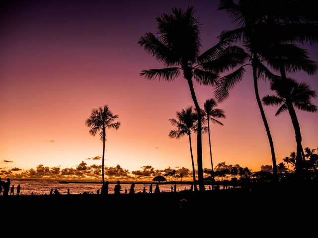 USA Reise - Waikiki in Hawaii am Abend