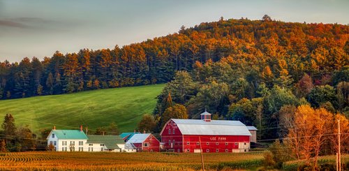 Wälder in New Hamshire, USA