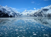 Alaska Reise - Glacier Bay NP