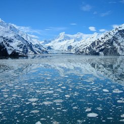 Alaska Reise - Glacier Bay NP