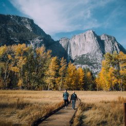 USA Reise - Yosemite Nationalpark
